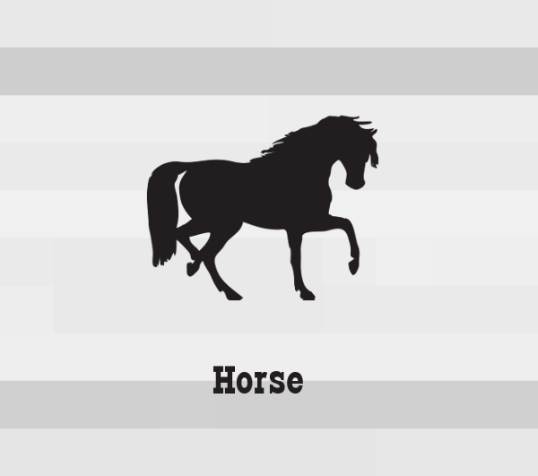 A black silhouette of a horse. Underneath it is the word 'horse'.