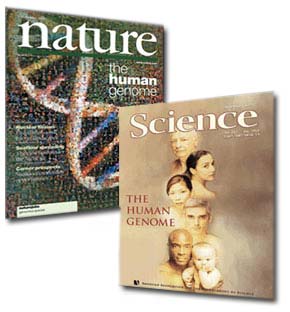 Two magazine covers: on the left is 'Science' with a big, colorful picture of a DNA double-helix. On the right is 'Nature' with the heads of several people arranged in a helix shape. Both magazine covers have a large header that reads 'The Human Genome'.